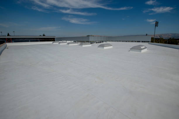 Best Emergency Roof Repair Services  in Gulf Breeze, FL